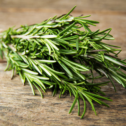 A bunch of fresh rosemary sprigs on a rustic wooden surface, perfect for making rosemary-infused Villa Cappelli Extra Virgin Olive Oil.