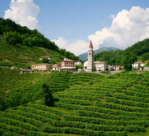 A scenic view of a small village with a prominent church tower surrounded by lush green Villa Cappelli Prosecco Vinegar vineyards under a partly cloudy sky.