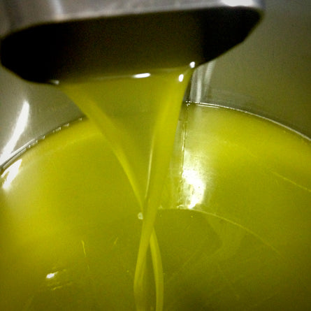 Grazie! Thank you! Collection olive oil being poured into a metal container by Villa Cappelli.