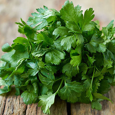 A bunch of Delicious Italian Kitchen Collection parsley from Villa Cappelli on a wooden table, no special instructions.