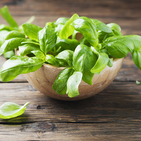 Delicious Italian Kitchen Collection Basil leaves in a wooden bowl on a wooden table, enhanced with extra virgin olive oil, by Villa Cappelli.