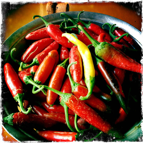 Spicy Sun-Dried Tomato Spread - Villa Cappelli - 4