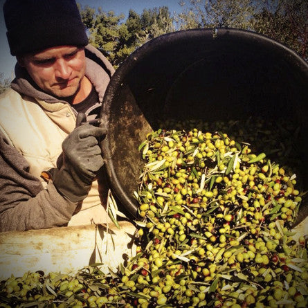 Extra Virgin Olive Oil - Villa Cappelli - 3